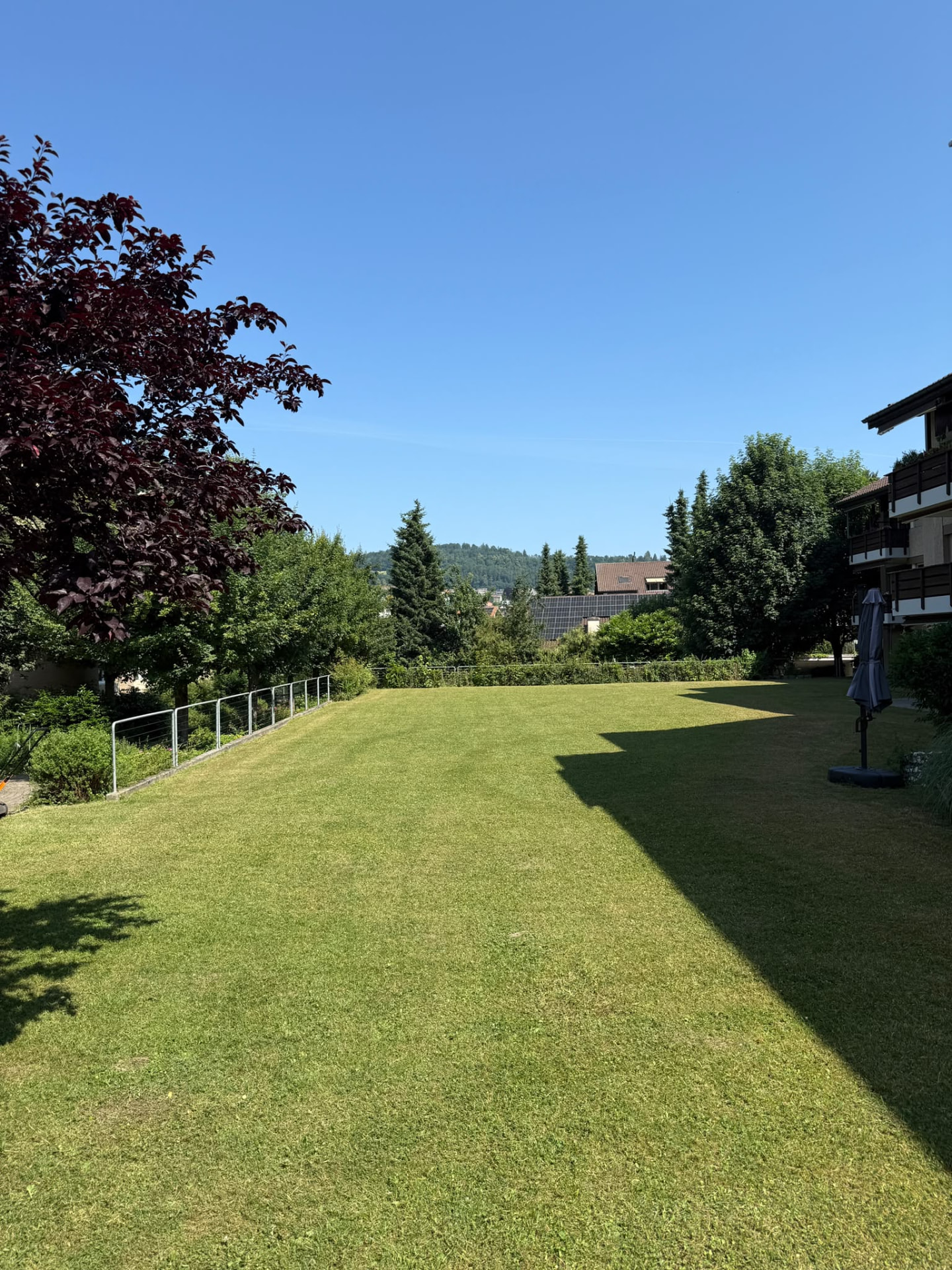 Gepflegte Rasenfläche nach dem Gartenunterhalt